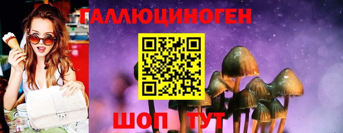 Галлюциногенные грибы прущие грибы Борзя