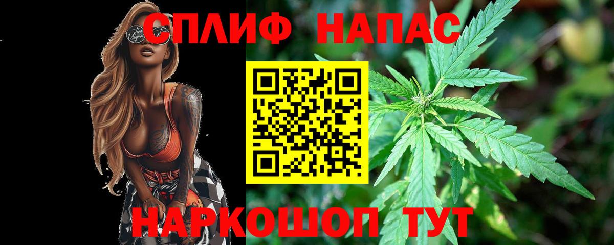 Гашиш Борзя
