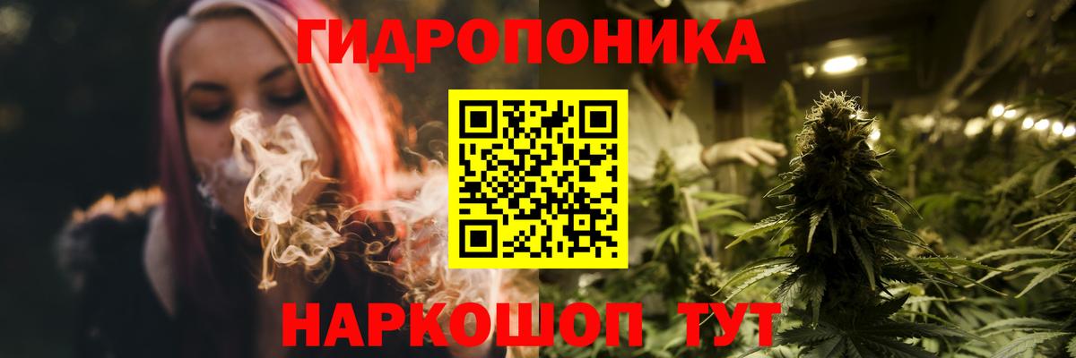 Бошки Шишки Bruce Banner Борзя